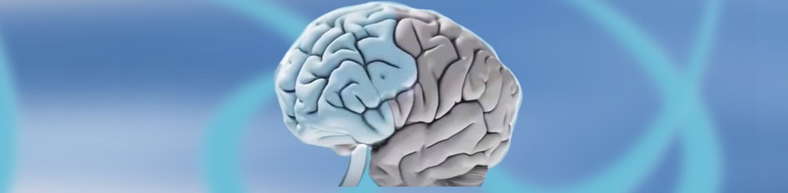 PREVENTION AND PROTECTION OF THE AGING BRAIN: AYURVEDIC SUPPORT FOR ALL