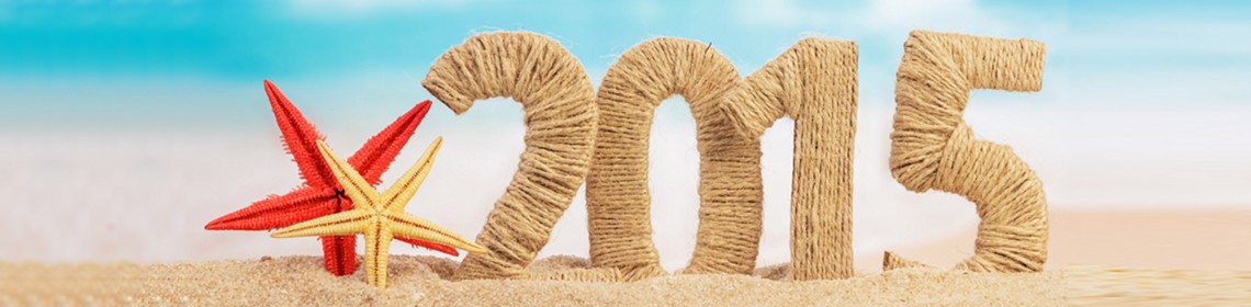 REFLECTING BACK ON 2015